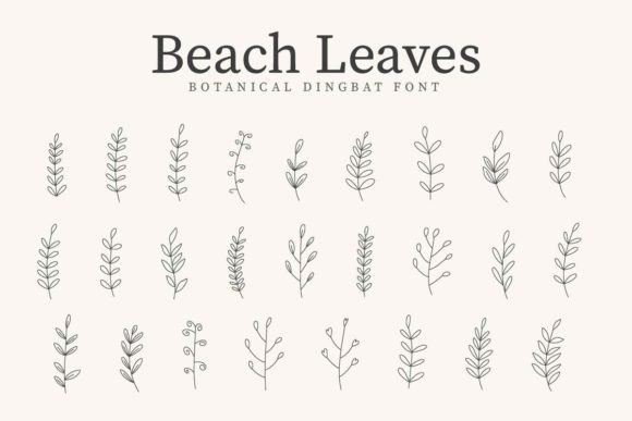 Beach Leaves Font: A Web Designer’s Honest Take on Natural Charm