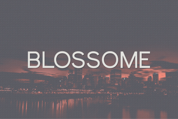 Blossome: A Sans Serif Typeface Built for Branding Projects