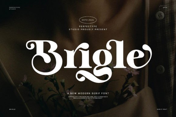 Brigle: A Serif Font That Brings Elegance to Small Business Branding