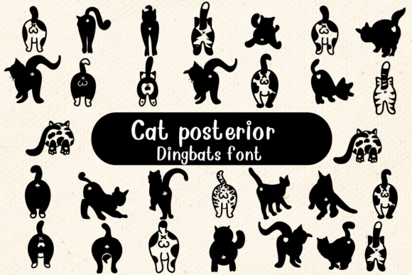 Cat Posterior: A Designer's Practical Review