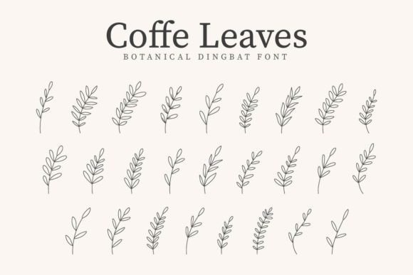 Coffe Leaves Font Review