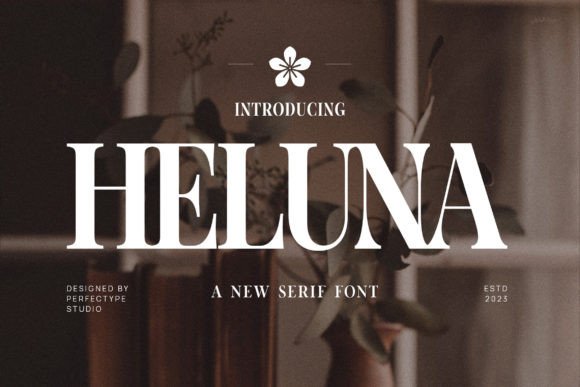 Heluna: A Serif Font That Balances Warmth with Precision