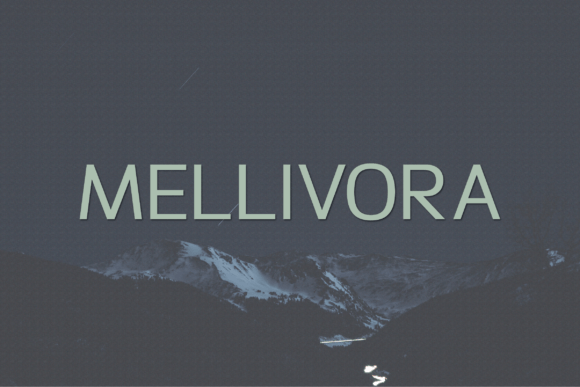 Mellivora: A Contemporary Sans Serif Typeface for Marketers