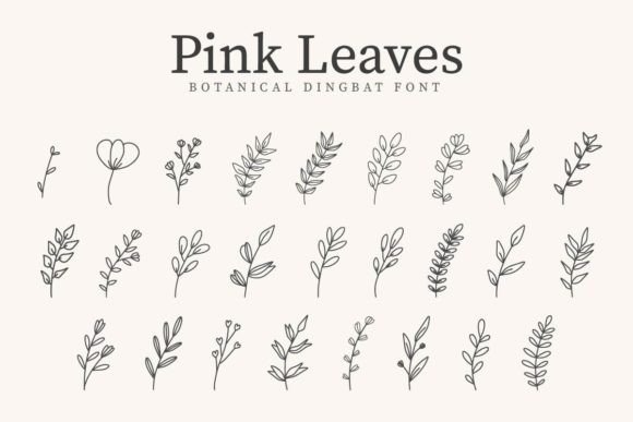 Pink Leaves Font Review