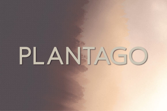 Plantago: A Modern Typeface for Elegant Design