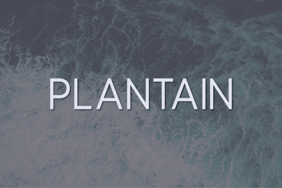Plantain: A Modern Sans Serif for Elegant Design