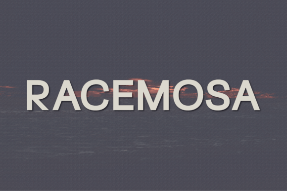Racemosa: A Modern Font for Web Design