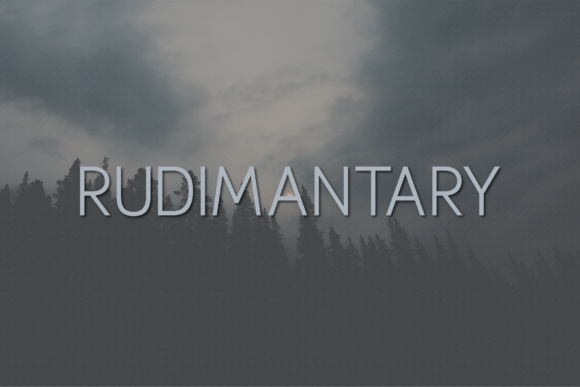 Rudimantary: A Contemporary Sans Serif for Digital Creators
